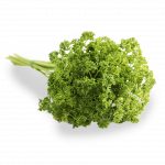 PERSIL