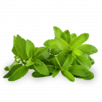 Stevia01